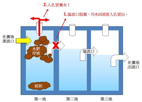 化糞池在哪